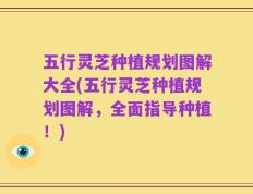 五行灵芝种植规划图解大全(五行灵芝种植规划图解，全面指导种植！)