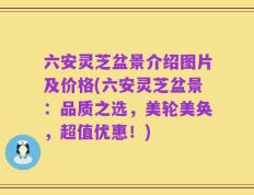 六安灵芝盆景介绍图片及价格(六安灵芝盆景：品质之选，美轮美奂，超值优惠！)