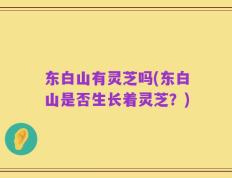 东白山有灵芝吗(东白山是否生长着灵芝？)