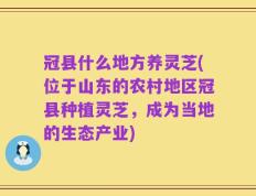 冠县什么地方养灵芝(位于山东的农村地区冠县种植灵芝，成为当地的生态产业)