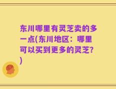 东川哪里有灵芝卖的多一点(东川地区：哪里可以买到更多的灵芝？)