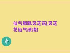 仙气飘飘灵芝花(灵芝花仙气缭绕)