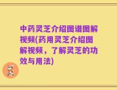 中药灵芝介绍图谱图解视频(药用灵芝介绍图解视频，了解灵芝的功效与用法)