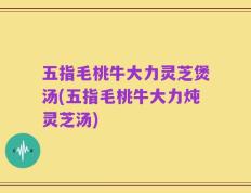 五指毛桃牛大力灵芝煲汤(五指毛桃牛大力炖灵芝汤)