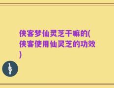 侠客梦仙灵芝干嘛的(侠客使用仙灵芝的功效)