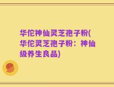 华佗神仙灵芝孢子粉(华佗灵芝孢子粉：神仙级养生良品)