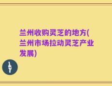 兰州收购灵芝的地方(兰州市场拉动灵芝产业发展)