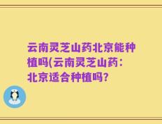 云南灵芝山药北京能种植吗(云南灵芝山药：北京适合种植吗？