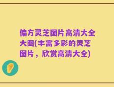 偏方灵芝图片高清大全大图(丰富多彩的灵芝图片，欣赏高清大全)