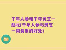 千年人参和千年灵芝一起吃(千年人参与灵芝一同食用的好处)