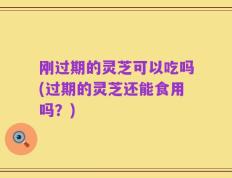刚过期的灵芝可以吃吗(过期的灵芝还能食用吗？)