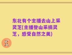 东北有个主播去山上采灵芝(主播登山采摘灵芝，感受自然之美)