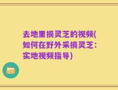 去地里摘灵芝的视频(如何在野外采摘灵芝：实地视频指导)