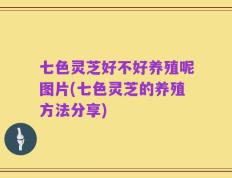 七色灵芝好不好养殖呢图片(七色灵芝的养殖方法分享)