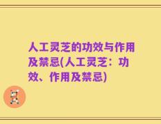 人工灵芝的功效与作用及禁忌(人工灵芝：功效、作用及禁忌)