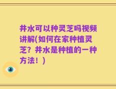井水可以种灵芝吗视频讲解(如何在家种植灵芝？井水是种植的一种方法！)