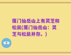 厦门仙岳山上有灵芝和松鼠(厦门仙岳山：灵芝与松鼠并存。)