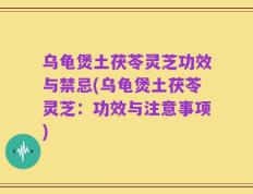 乌龟煲土茯苓灵芝功效与禁忌(乌龟煲土茯苓灵芝：功效与注意事项)