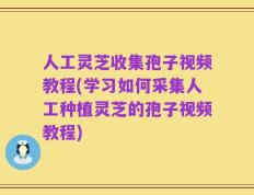人工灵芝收集孢子视频教程(学习如何采集人工种植灵芝的孢子视频教程)