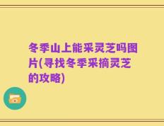 冬季山上能采灵芝吗图片(寻找冬季采摘灵芝的攻略)