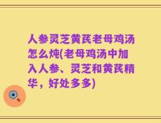 人参灵芝黄芪老母鸡汤怎么炖(老母鸡汤中加入人参、灵芝和黄芪精华，好处多多)