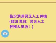 临汾洪洞灵芝人工种植(临汾洪洞：灵芝人工种植大丰收！)