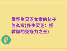 发野生灵芝文案的句子怎么写(野生灵芝：拯救你的免疫力之王)