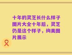 十年的灵芝长什么样子图片大全十年后，灵芝仍是这个样子，绚美图片展示