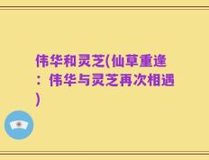 伟华和灵芝(仙草重逢：伟华与灵芝再次相遇)