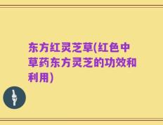 东方红灵芝草(红色中草药东方灵芝的功效和利用)