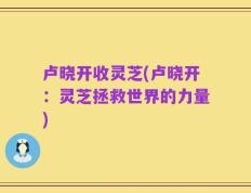卢晓开收灵芝(卢晓开：灵芝拯救世界的力量)