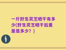 一斤野生灵芝晒干有多少(野生灵芝晒干后重量是多少？)