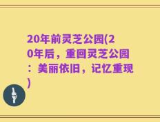 20年前灵芝公园(20年后，重回灵芝公园：美丽依旧，记忆重现)