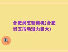 合肥灵芝新商机(合肥灵芝市场潜力巨大)