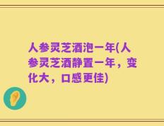 人参灵芝酒泡一年(人参灵芝酒静置一年，变化大，口感更佳)