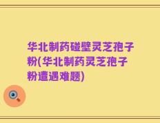 华北制药碰壁灵芝孢子粉(华北制药灵芝孢子粉遭遇难题)