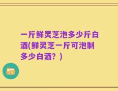 一斤鲜灵芝泡多少斤白酒(鲜灵芝一斤可泡制多少白酒？)