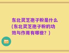 东北灵芝孢子粉是什么(东北灵芝孢子粉的功效与作用有哪些？)