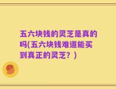 五六块钱的灵芝是真的吗(五六块钱难道能买到真正的灵芝？)