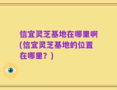 信宜灵芝基地在哪里啊(信宜灵芝基地的位置在哪里？)