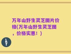 万年山野生灵芝图片价格(万年山野生灵芝图，价格实惠！)