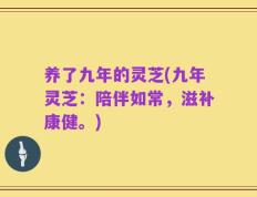 养了九年的灵芝(九年灵芝：陪伴如常，滋补康健。)