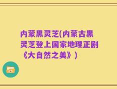 内蒙黑灵芝(内蒙古黑灵芝登上国家地理正剧《大自然之美》)