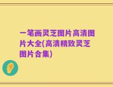 一笔画灵芝图片高清图片大全(高清精致灵芝图片合集)