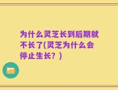 为什么灵芝长到后期就不长了(灵芝为什么会停止生长？)