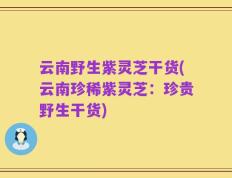 云南野生紫灵芝干货(云南珍稀紫灵芝：珍贵野生干货)