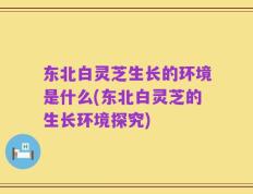 东北白灵芝生长的环境是什么(东北白灵芝的生长环境探究)