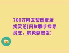700万网友帮倒霉蛋找灵芝(网友联手找寻灵芝，解救倒霉蛋)