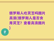 俄罗斯人吃灵芝吗图片高清(俄罗斯人是否食用灵芝？查看高清图片)