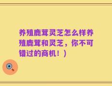 养殖鹿茸灵芝怎么样养殖鹿茸和灵芝，你不可错过的商机！)